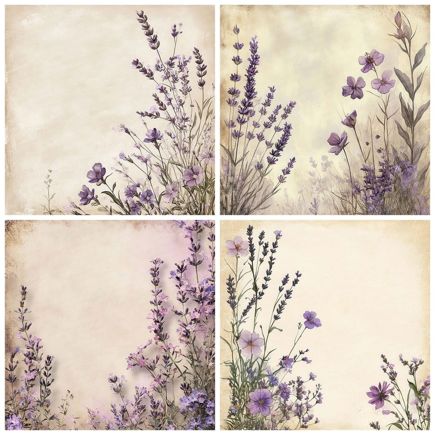 Lavender Field Notes Digital Paper Pack (DDD002288)