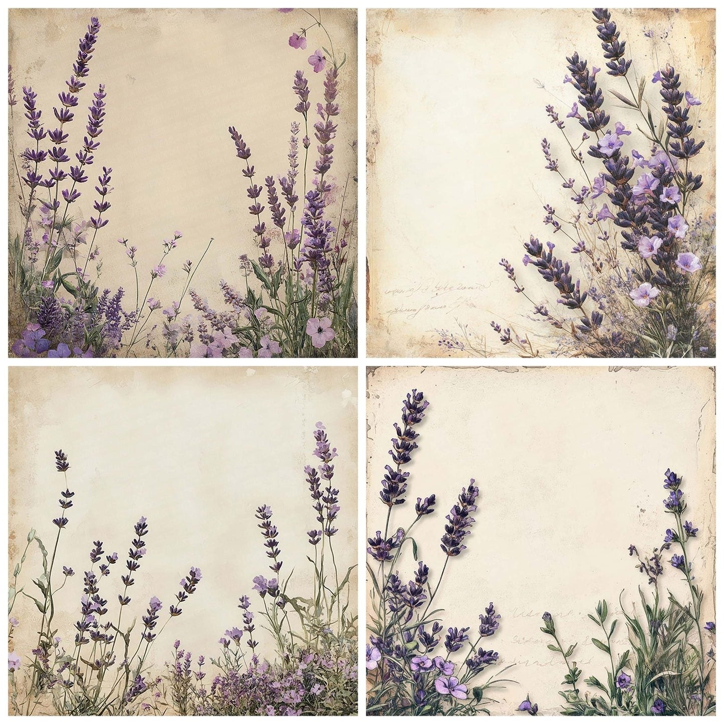Lavender Field Notes Digital Paper Pack (DDD002288)