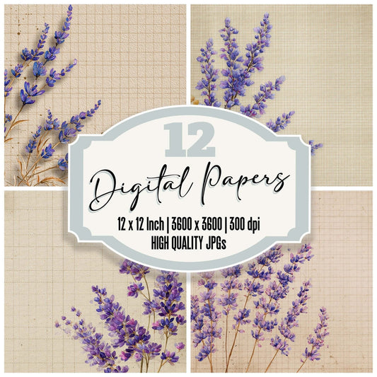 Lavender Parchment Grid Digital Paper Pack (DDD007670)