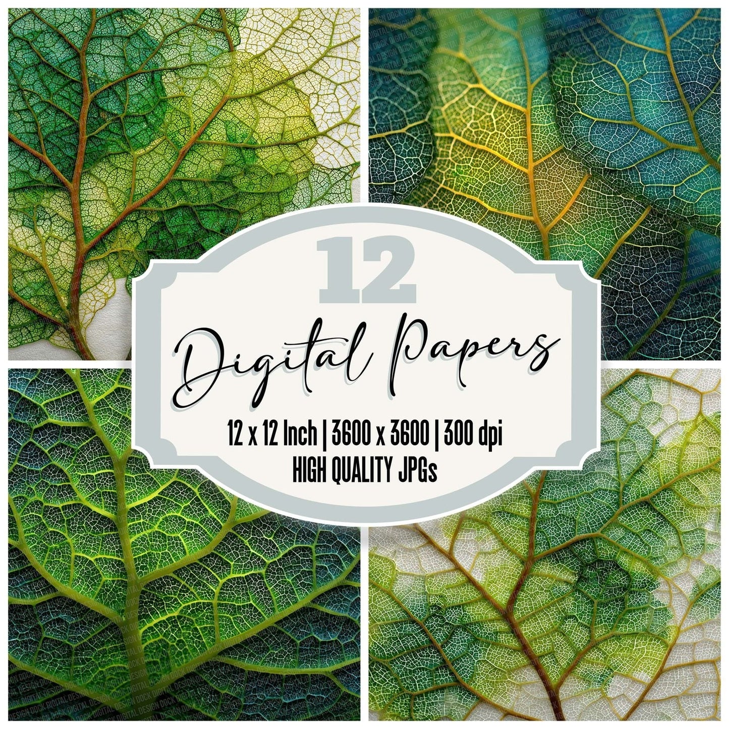 Leaf Vein Web Digital Paper Pack (DDD002312)