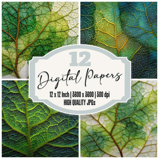 Leaf Vein Web Digital Paper Pack (DDD002312)
