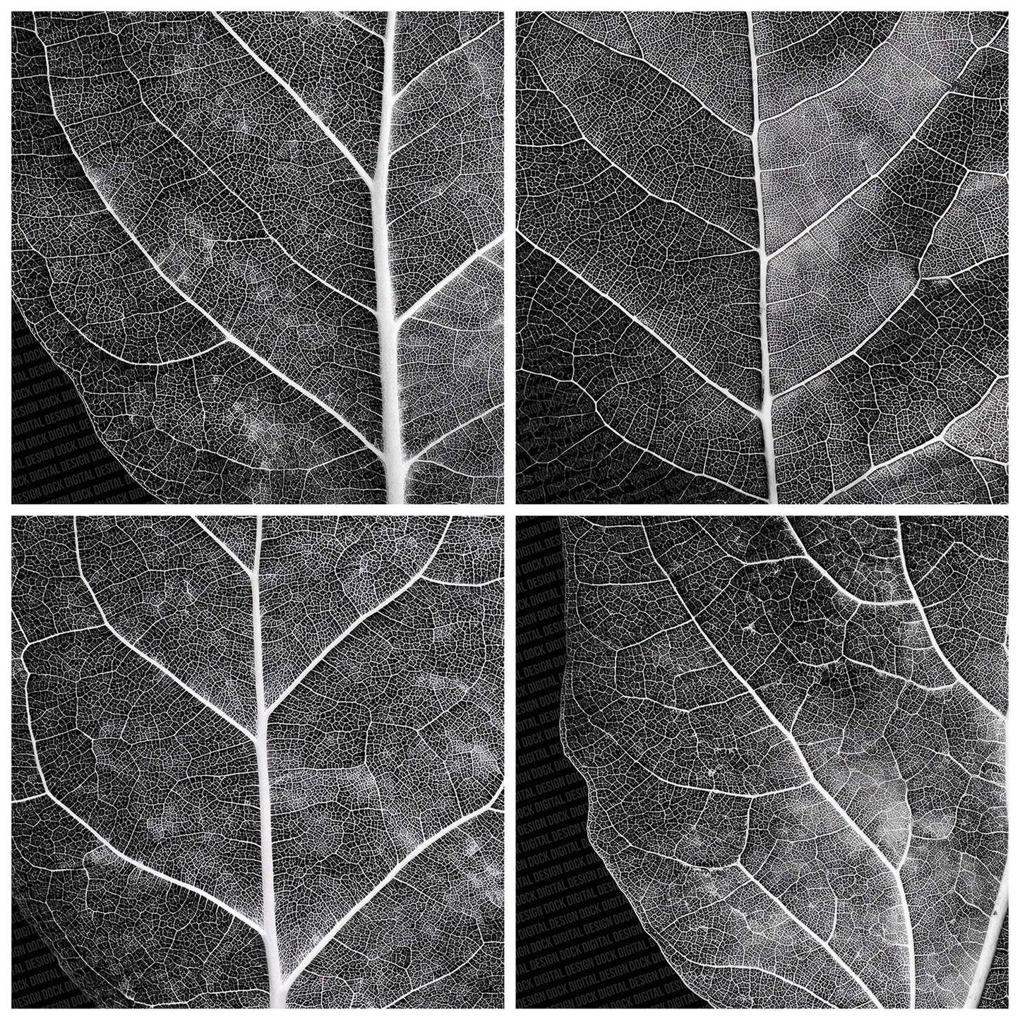 Leaf X-Ray Pattern Digital Paper Pack (DDD002313)