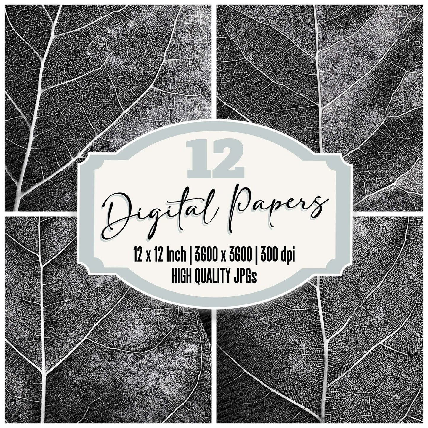 Leaf X-Ray Pattern Digital Paper Pack (DDD002313)