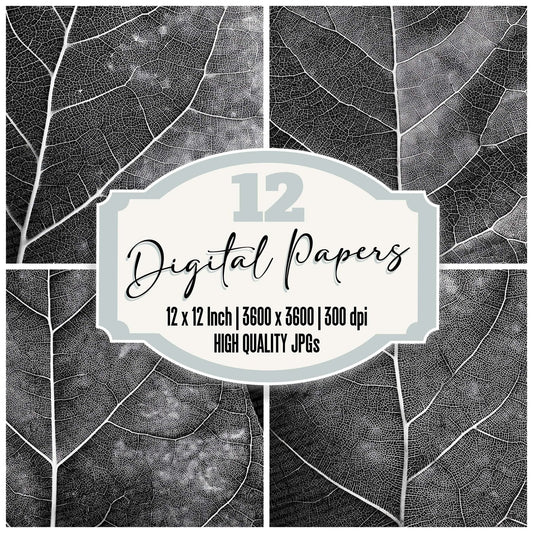 Leaf X-Ray Pattern Digital Paper Pack (DDD002313)