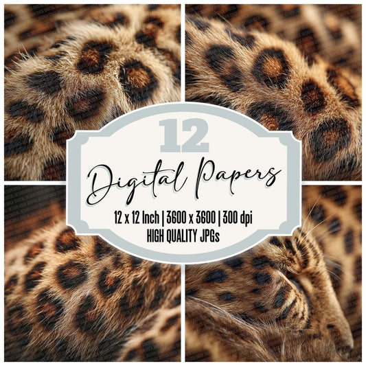 Leopard Fur Macro Digital Paper Pack (DDD002325)