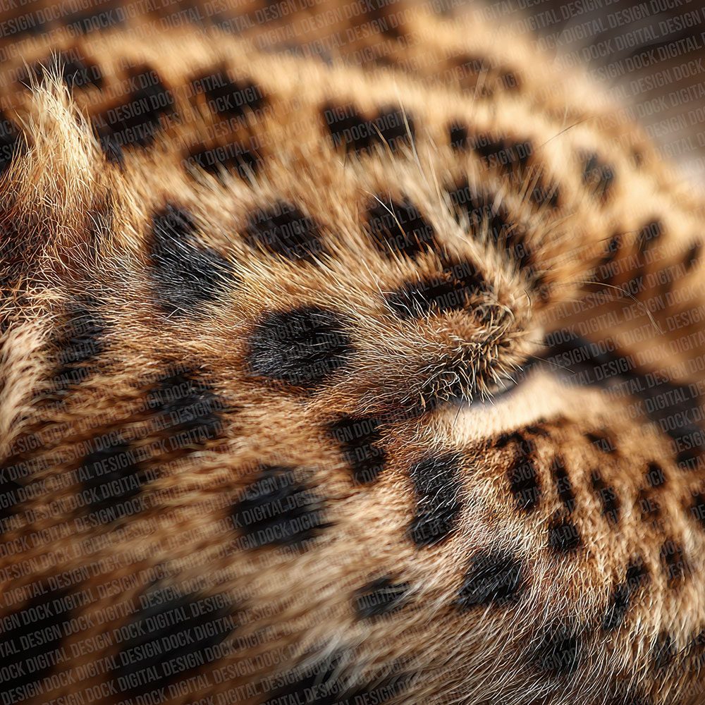 Leopard Fur Macro Digital Paper Pack (DDD002325)