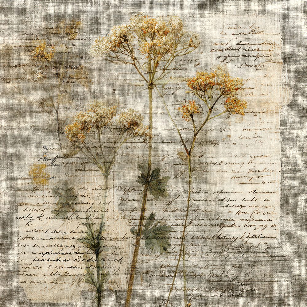 Linen Herb Script Digital Paper Pack (DDD002371)