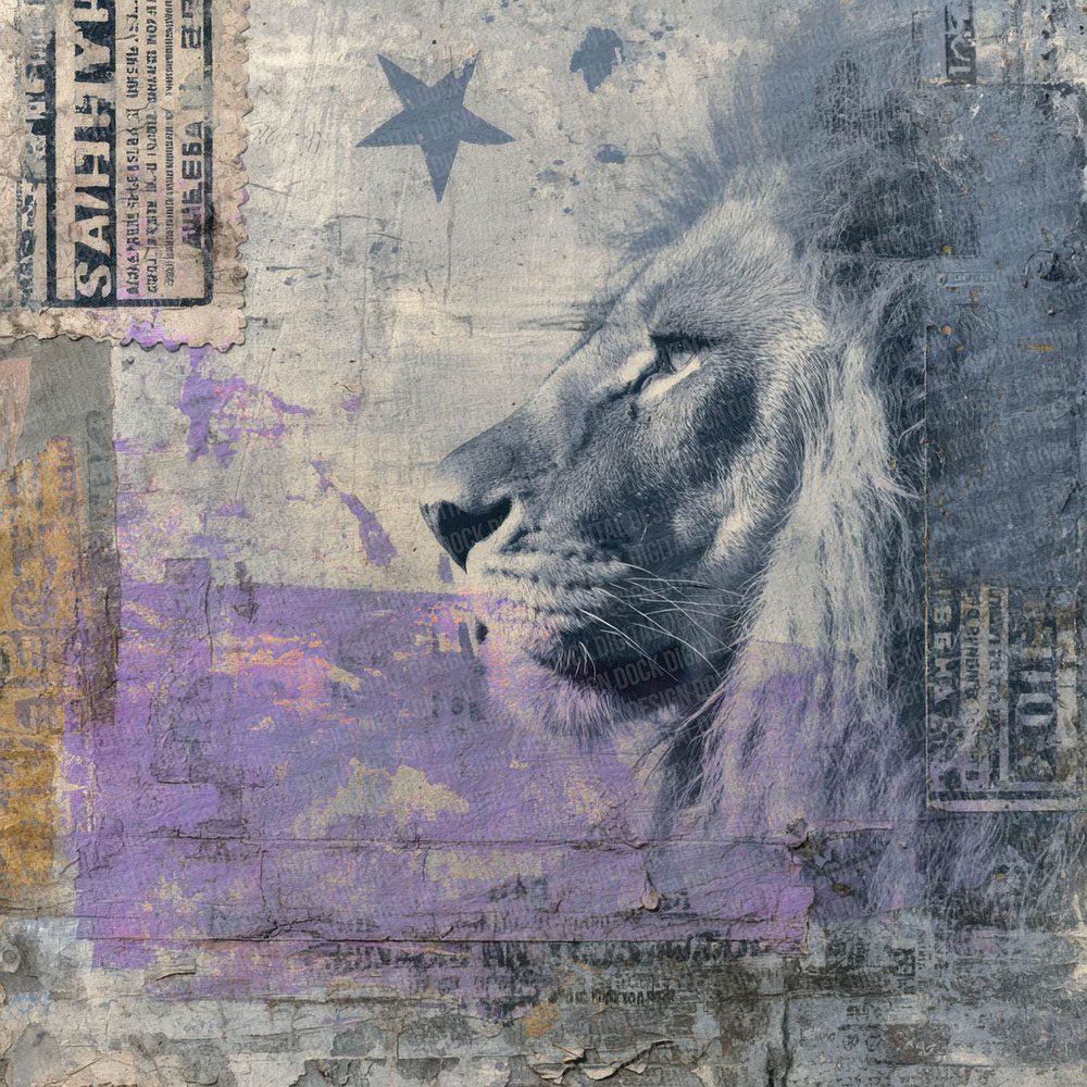 Lion Circus Stars Digital Paper Pack (DDD002376)