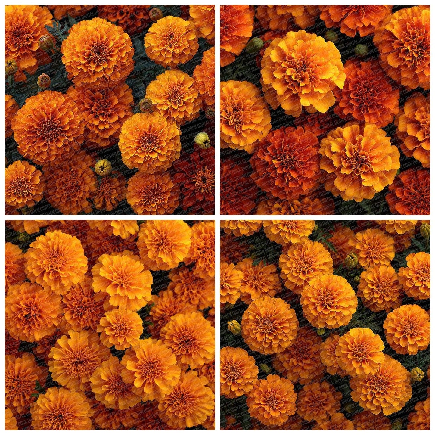 Marigold Overhead Fill Digital Paper Pack (DDD002432)