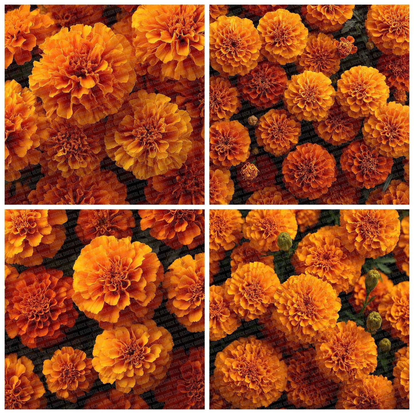 Marigold Overhead Fill Digital Paper Pack (DDD002432)