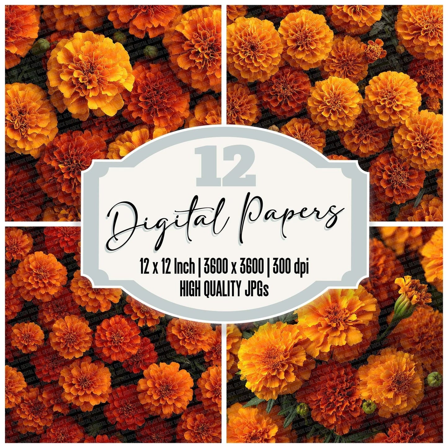 Marigold Overhead Fill Digital Paper Pack (DDD002432)