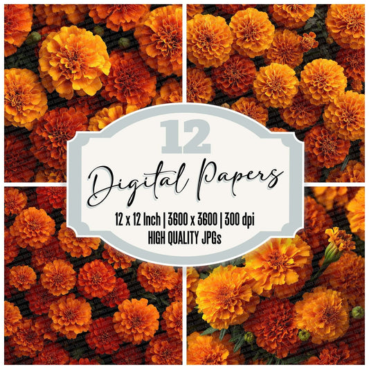 Marigold Overhead Fill Digital Paper Pack (DDD002432)