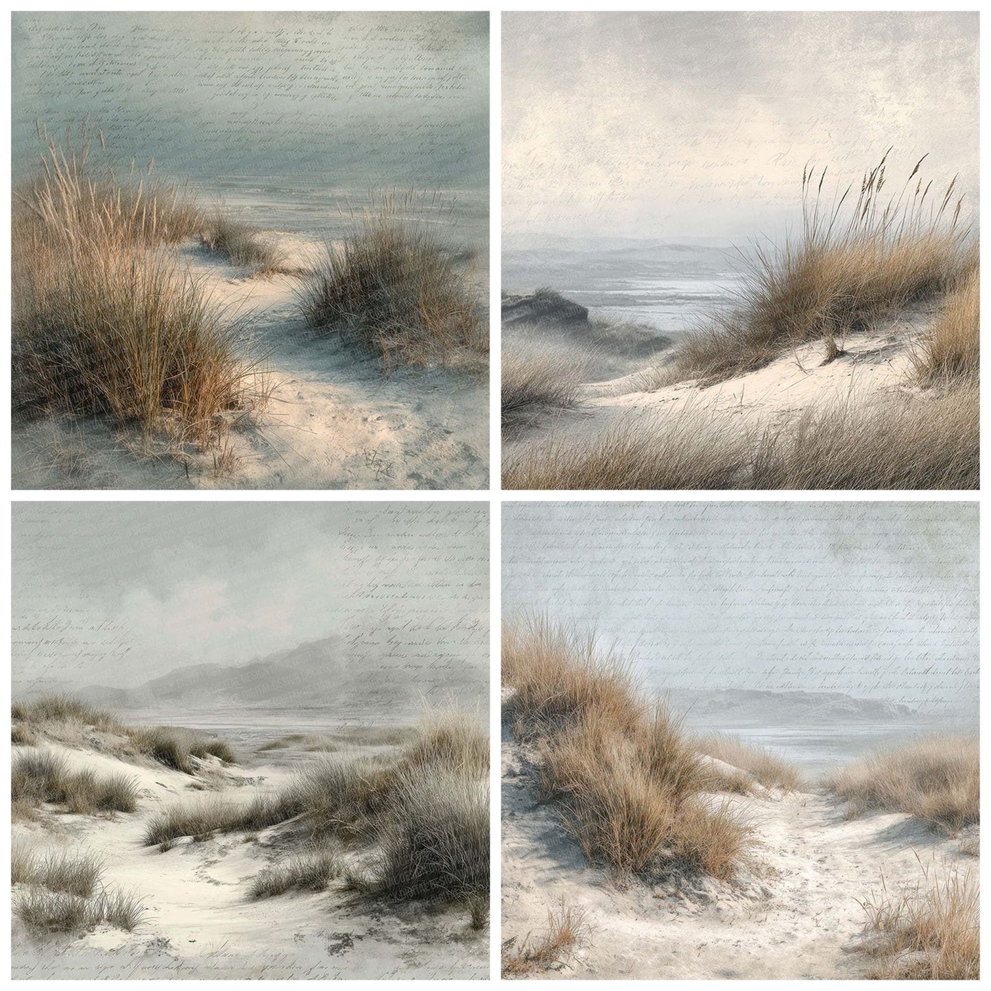Misty Dune Script Grass Digital Paper Pack (DDD002554)