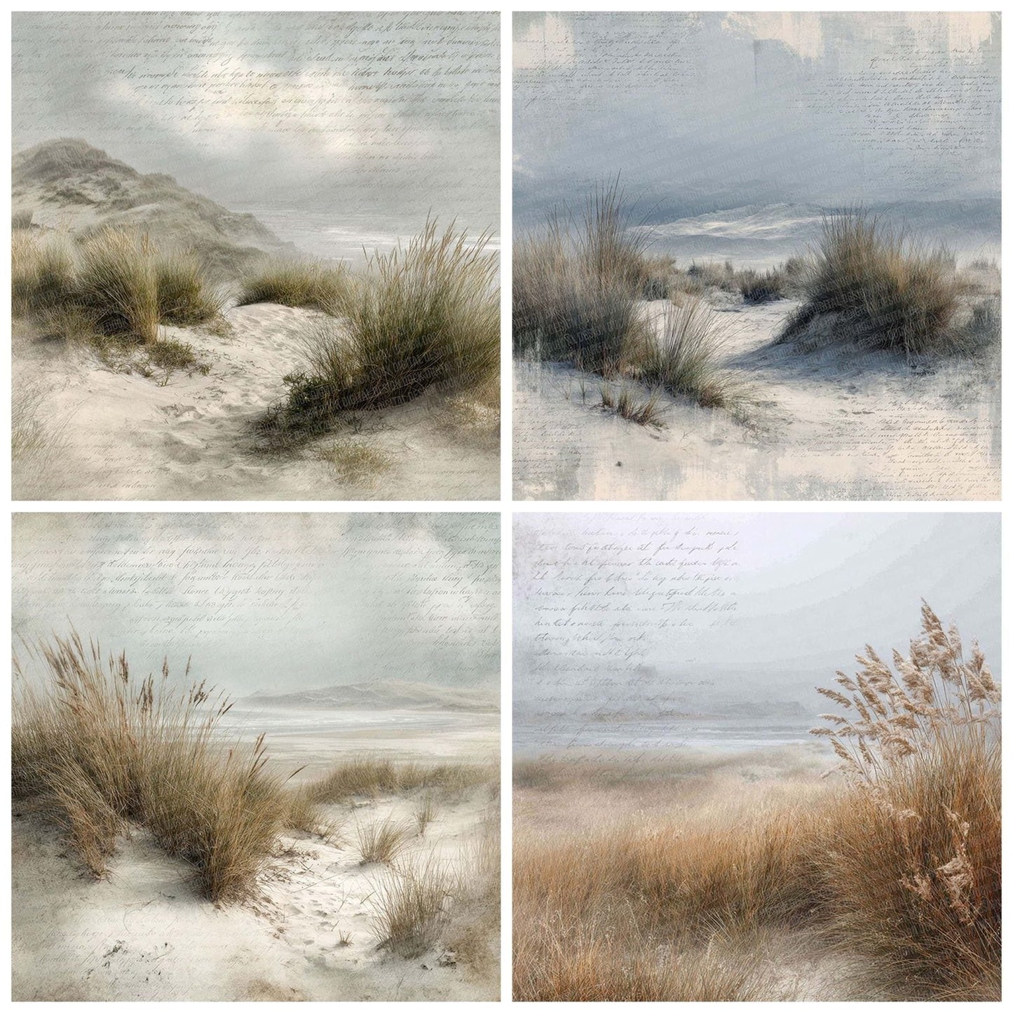 Misty Dune Script Grass Digital Paper Pack (DDD002554)