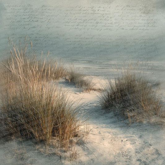 Misty Dune Script Grass Digital Paper Pack (DDD002554)