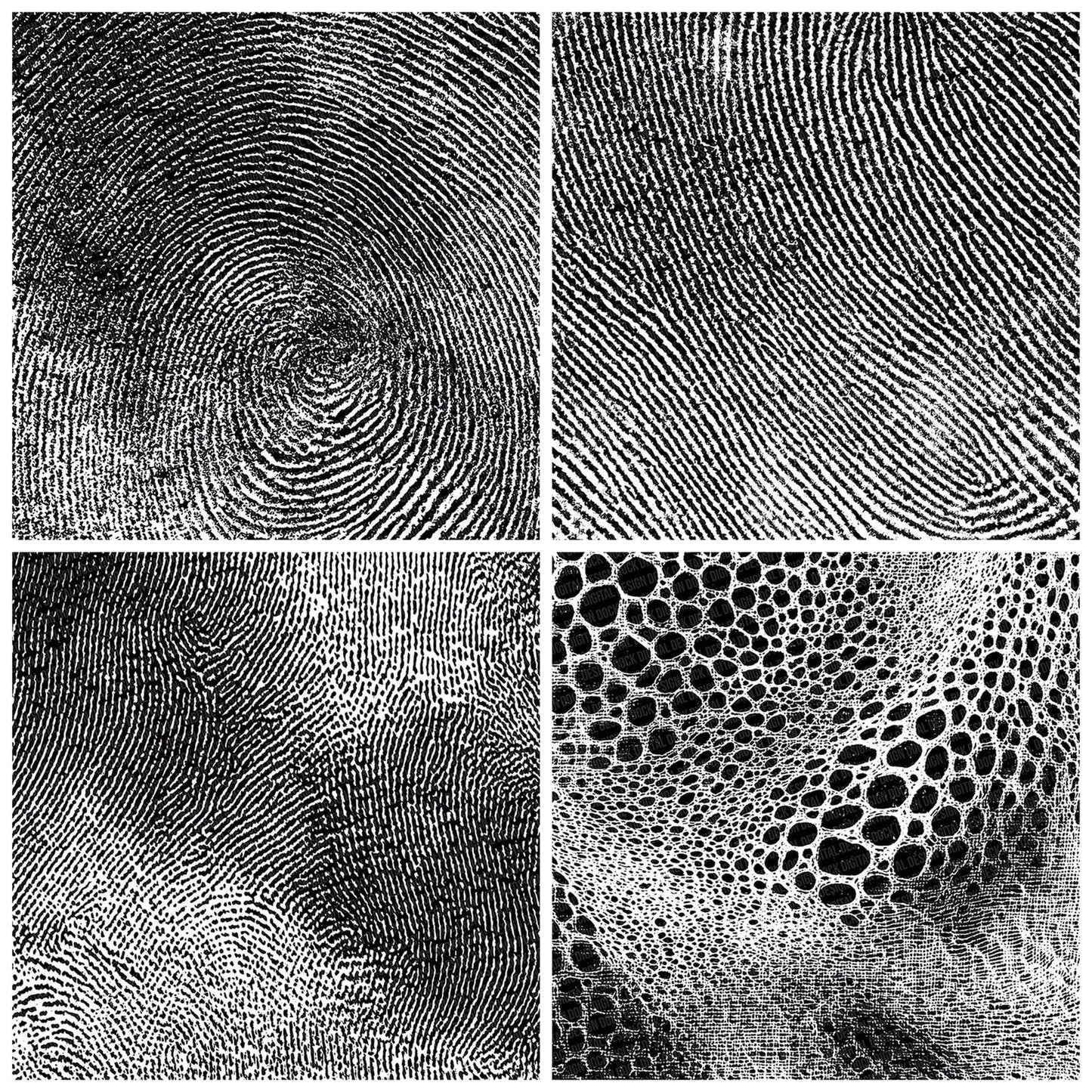 Monochrome Fingerprint Swirl Digital Paper Pack (DDD002576)