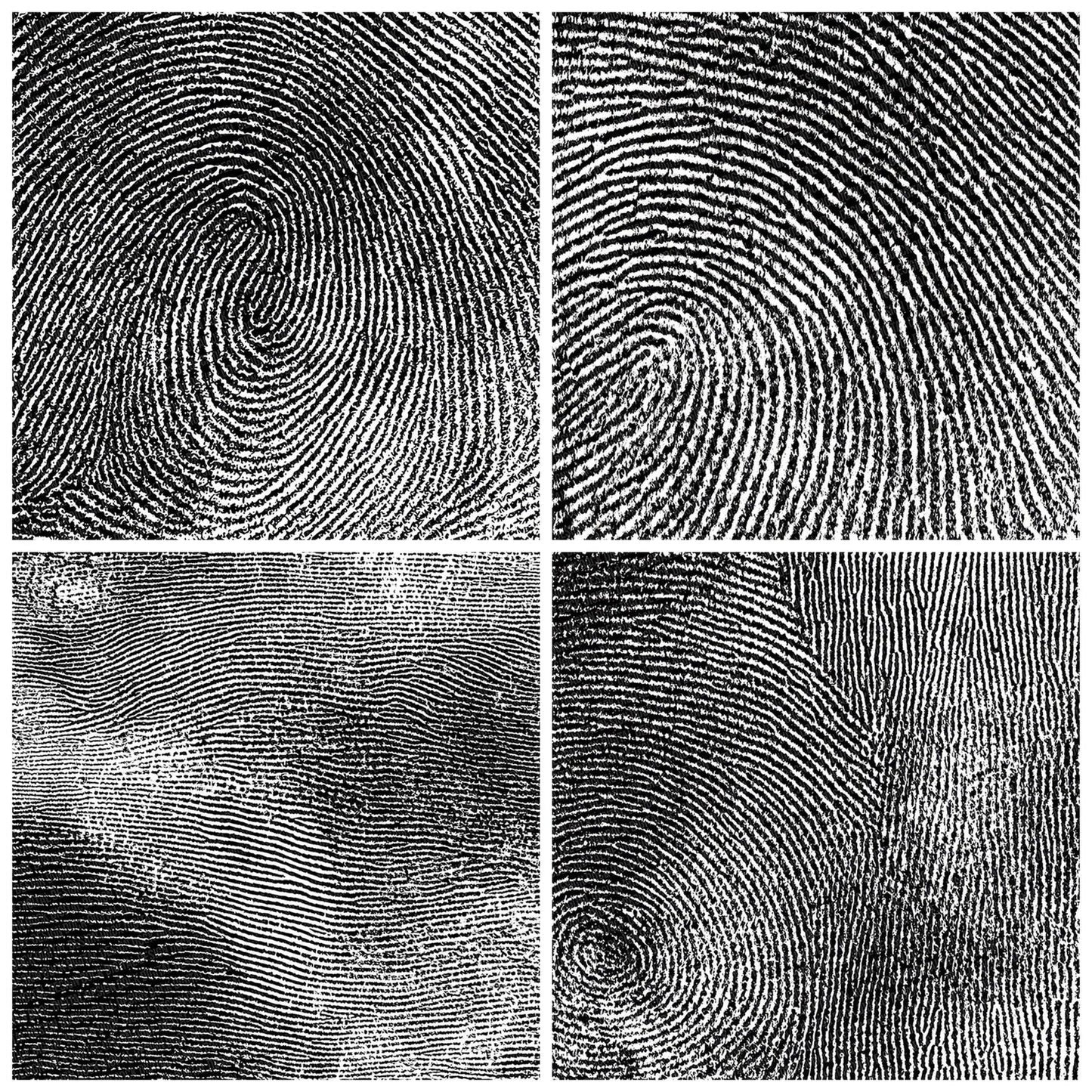 Monochrome Fingerprint Swirl Digital Paper Pack (DDD002576)
