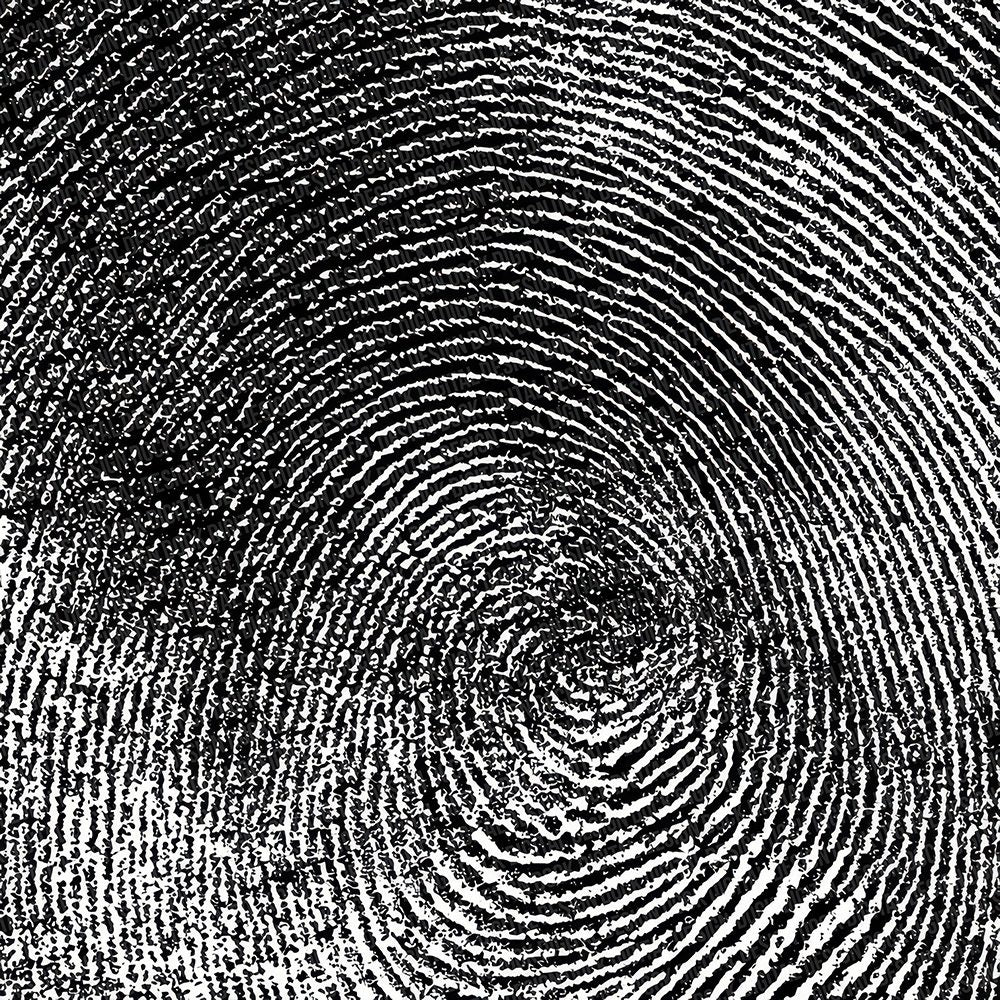 Monochrome Fingerprint Swirl Digital Paper Pack (DDD002576)