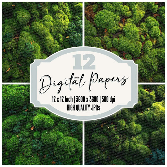 Moss Bed Texture Digital Paper Pack (DDD002605)