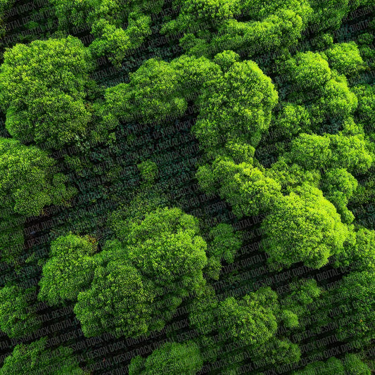 Moss Bed Texture Digital Paper Pack (DDD002605)