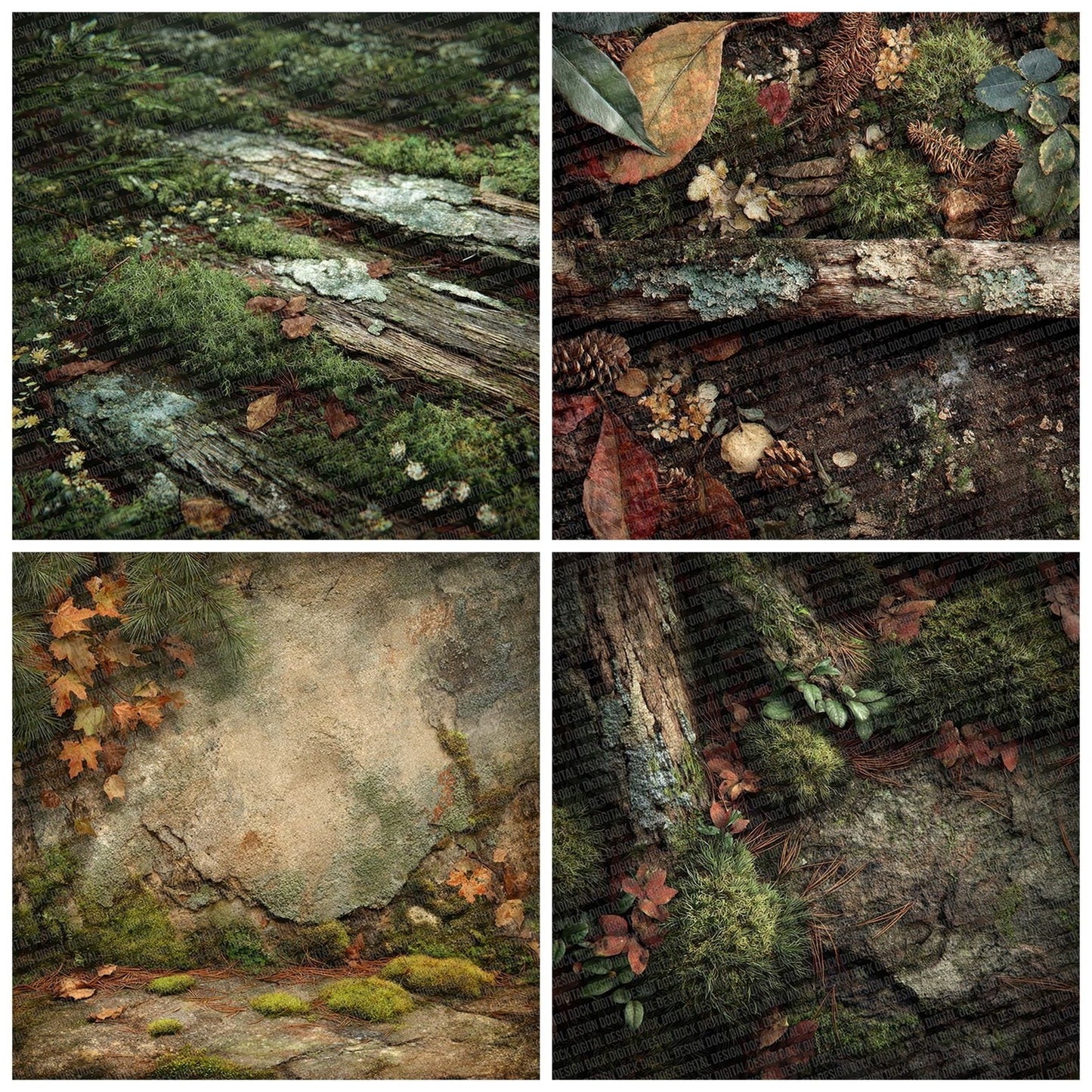 Moss Leaf Litter Digital Paper Pack (DDD002610)