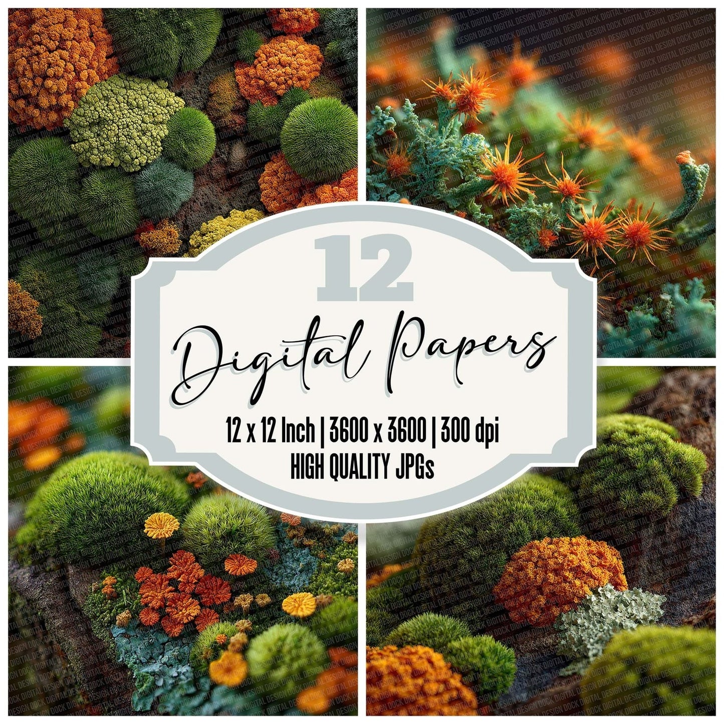 Moss Lichen Close Digital Paper Pack (DDD002611)