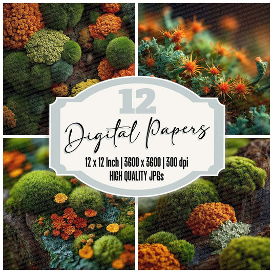Moss Lichen Close Digital Paper Pack (DDD002611)