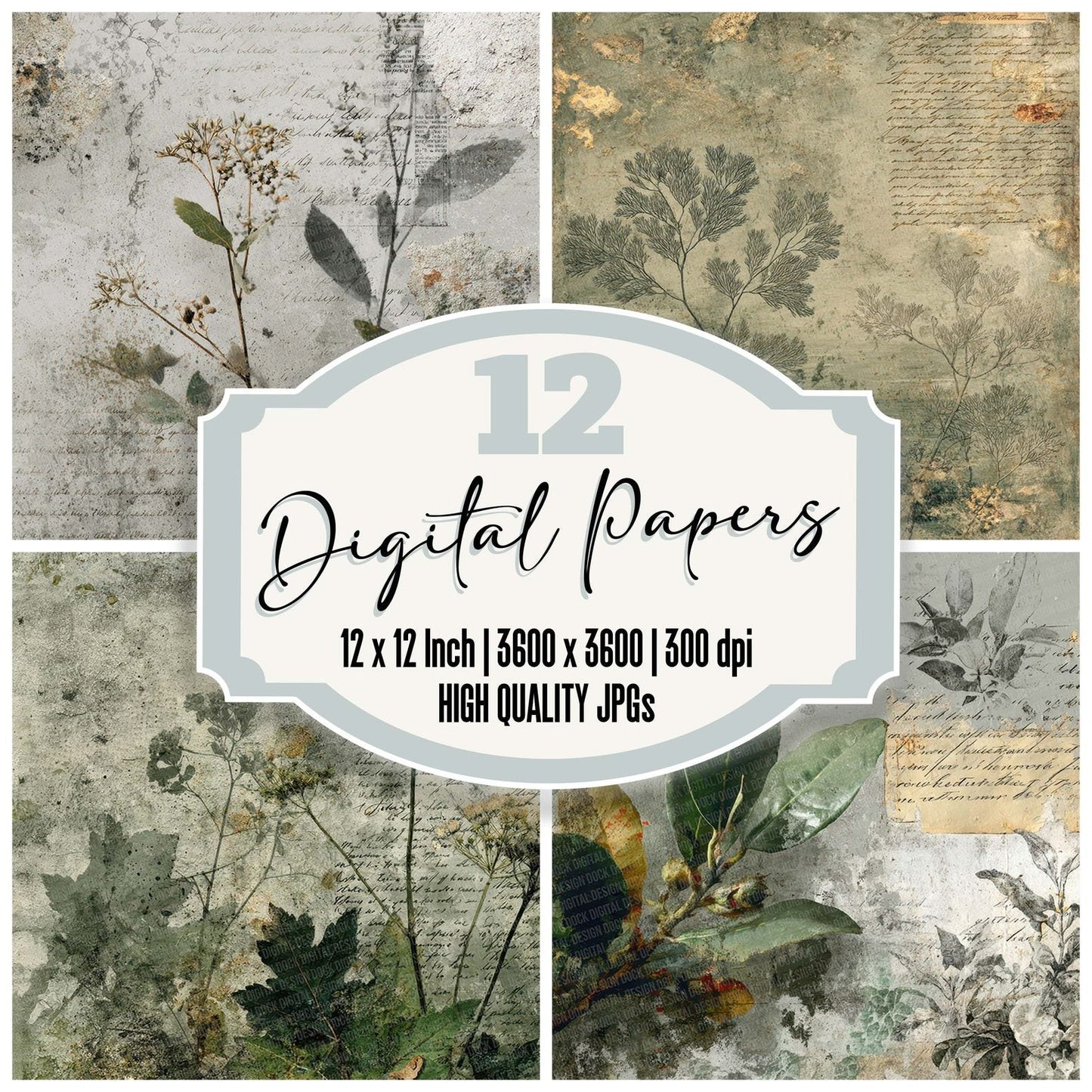 Moss Mold Script Digital Paper Pack (DDD002614)