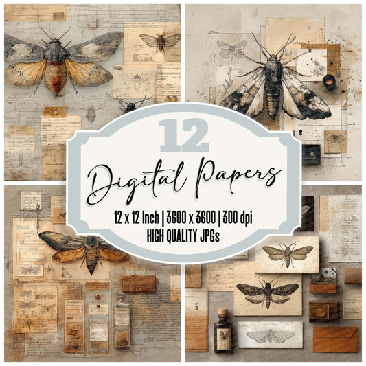 Moth Specimen Collage Digital Paper Pack (DDD002622)