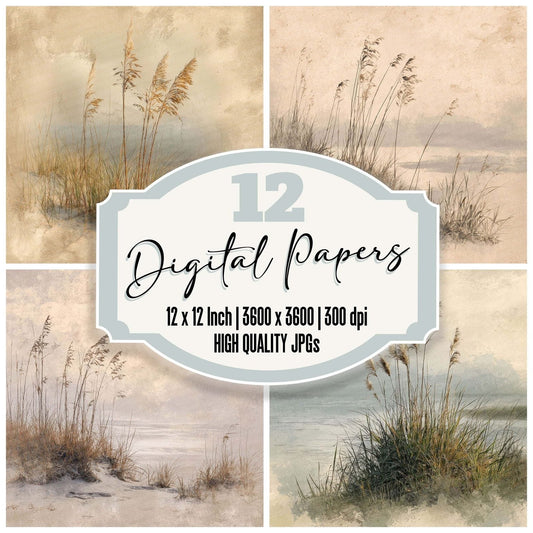 Neutral Grass Field Notes Digital Paper Pack (DDD002747)