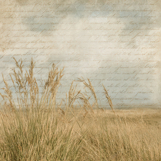 Old Prairie Grassland Scene Digital Paper Pack (DDD012211)