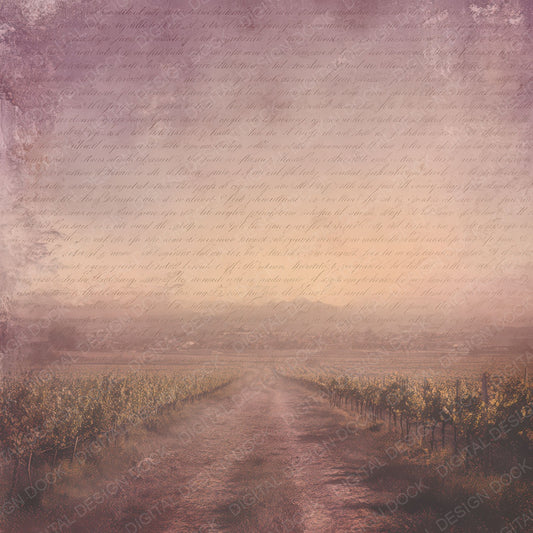 Old Vineyard Sunset Path Scene Digital Paper Pack (DDD012234)