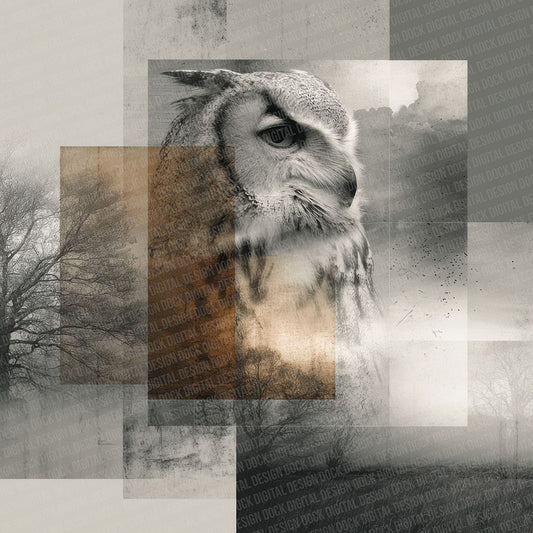 Owl Woodland Moodboard Digital Paper Pack (DDD002855)