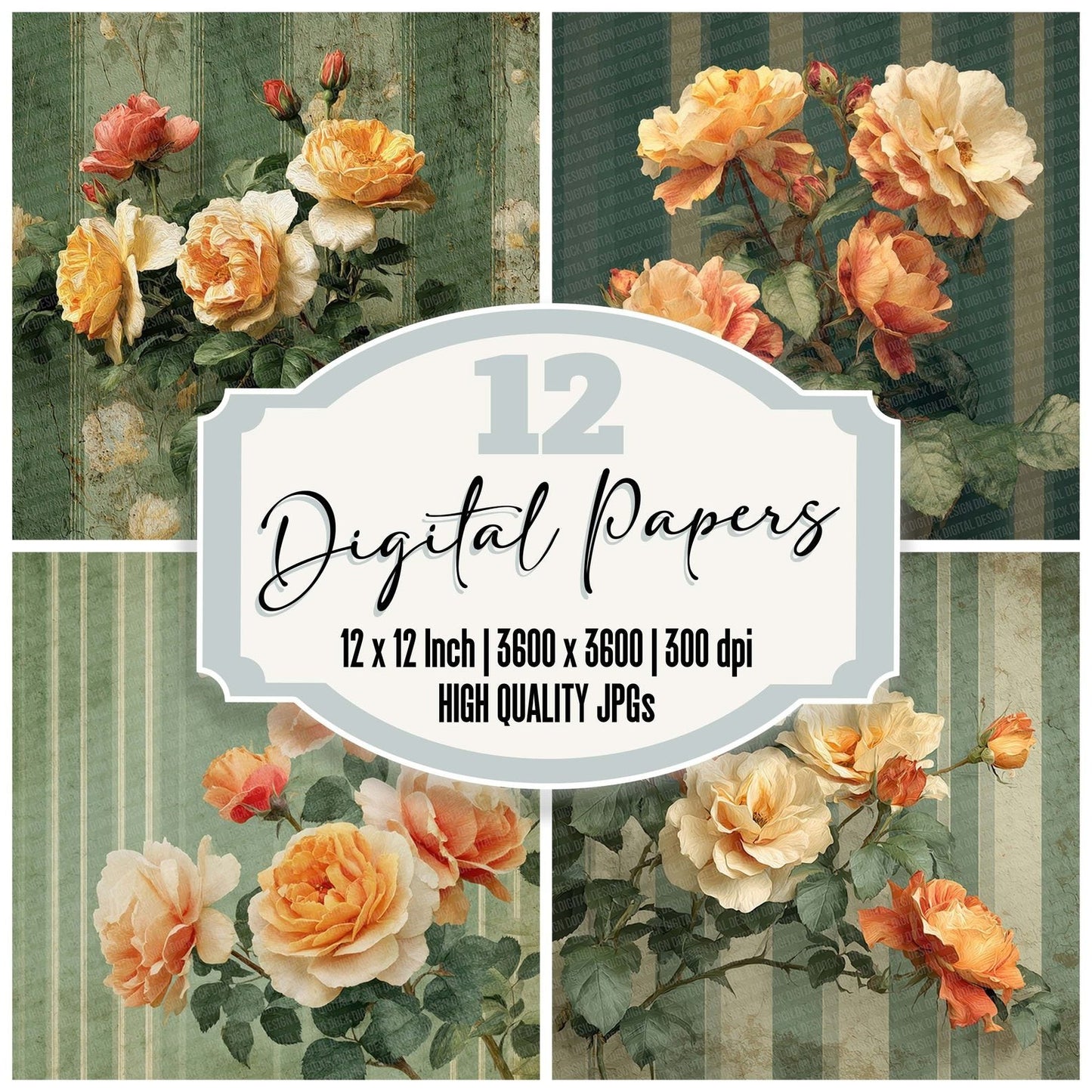 Peach Rose Stripe Digital Paper Pack (DDD007699)