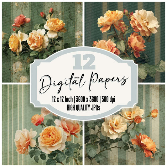 Peach Rose Stripe Digital Paper Pack (DDD007699)