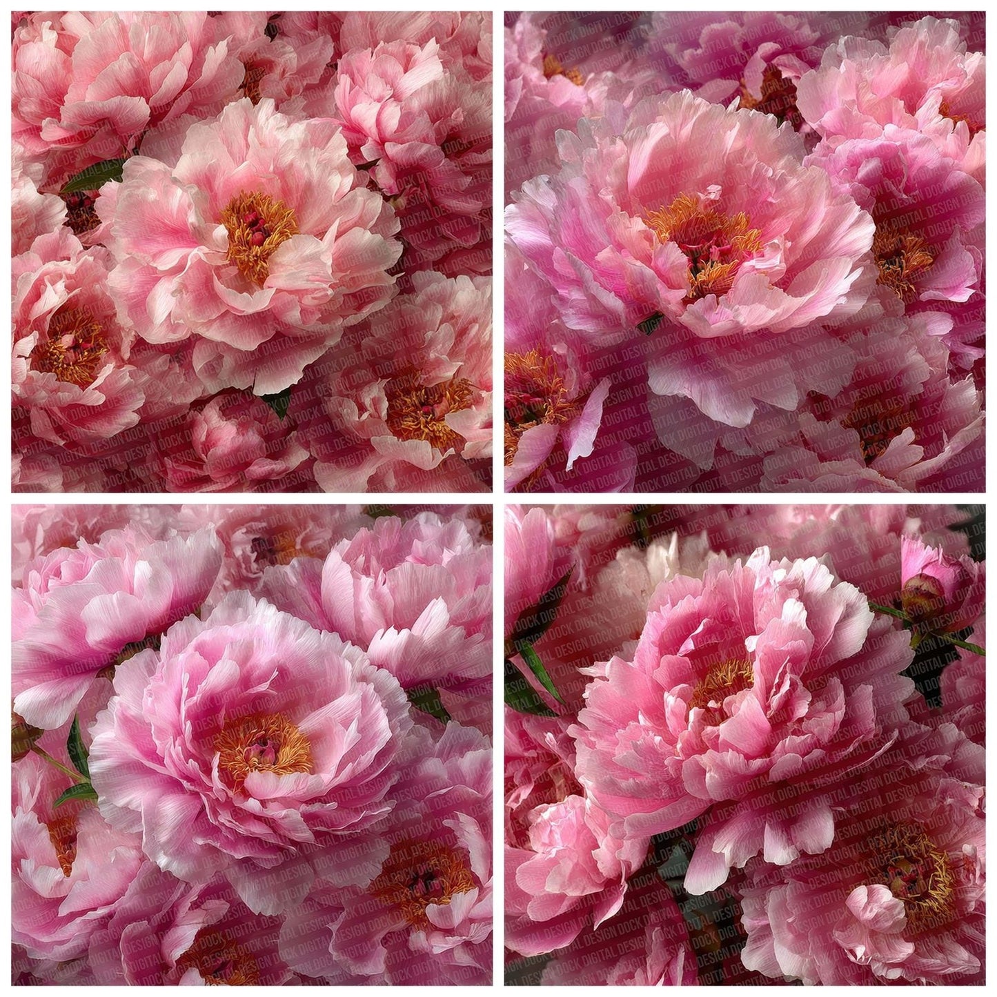 Peony Overhead Fill Digital Paper Pack (DDD002973)