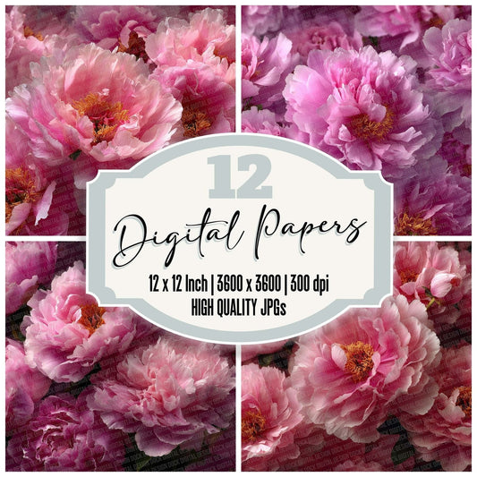 Peony Overhead Fill Digital Paper Pack (DDD002973)