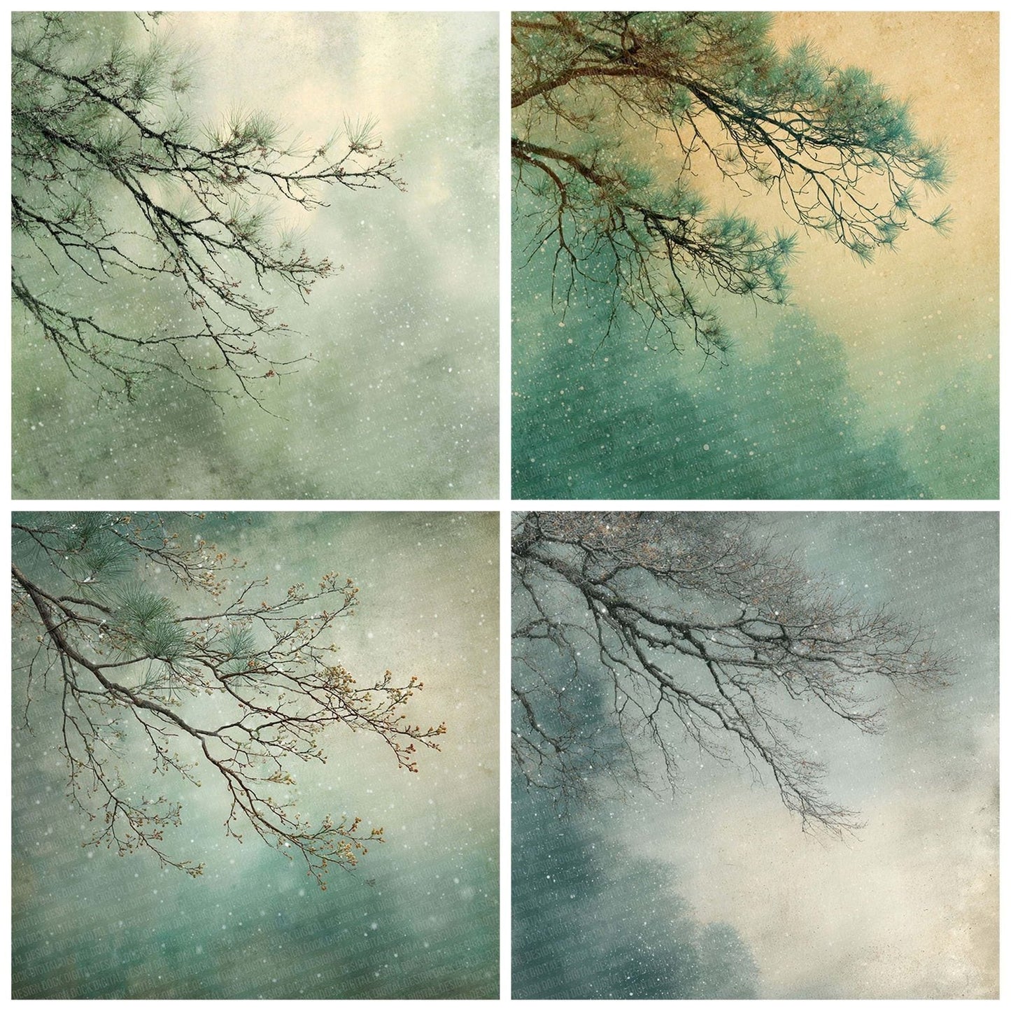 Pine Mist Winter Background Digital Paper Pack (DDD002992)