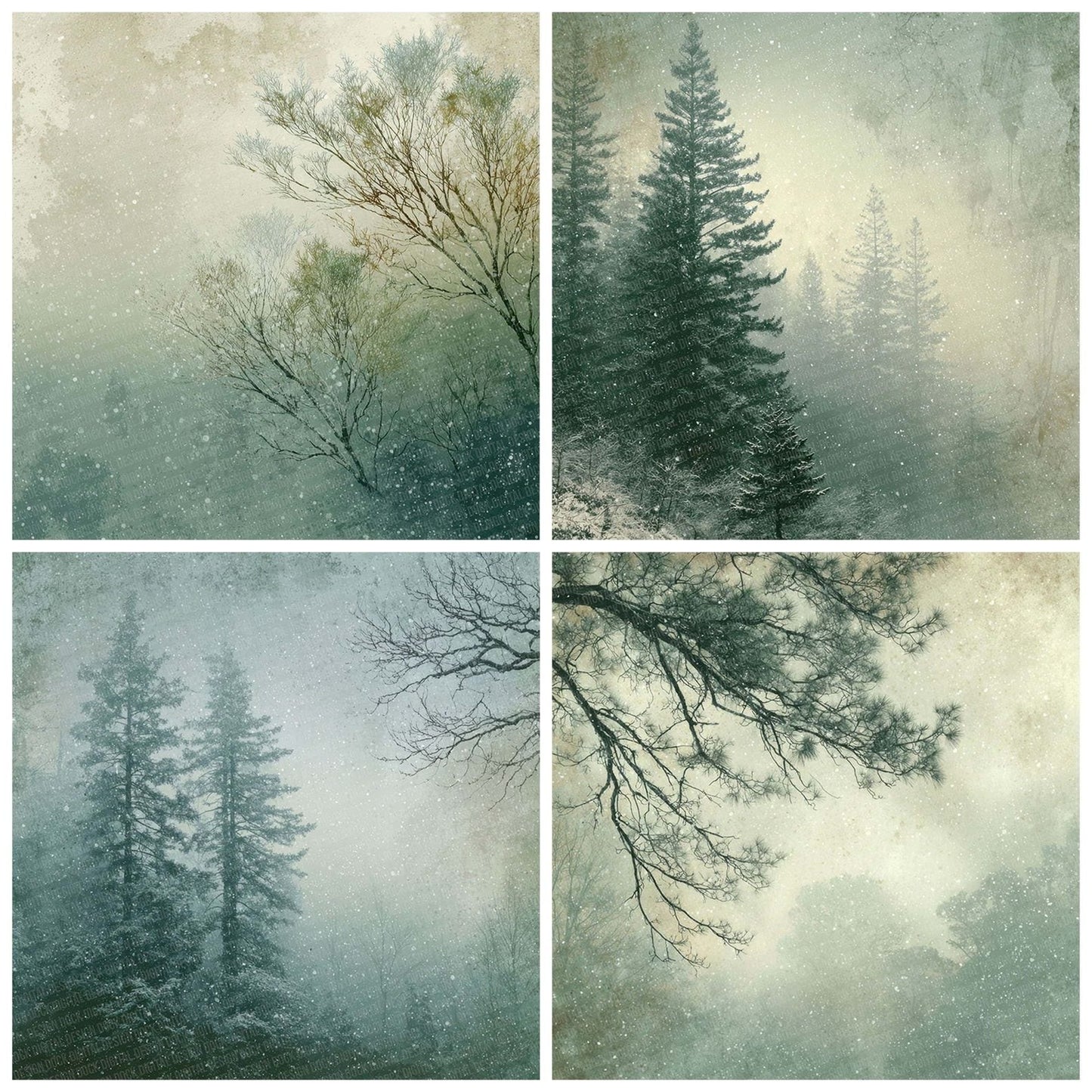 Pine Mist Winter Background Digital Paper Pack (DDD002992)