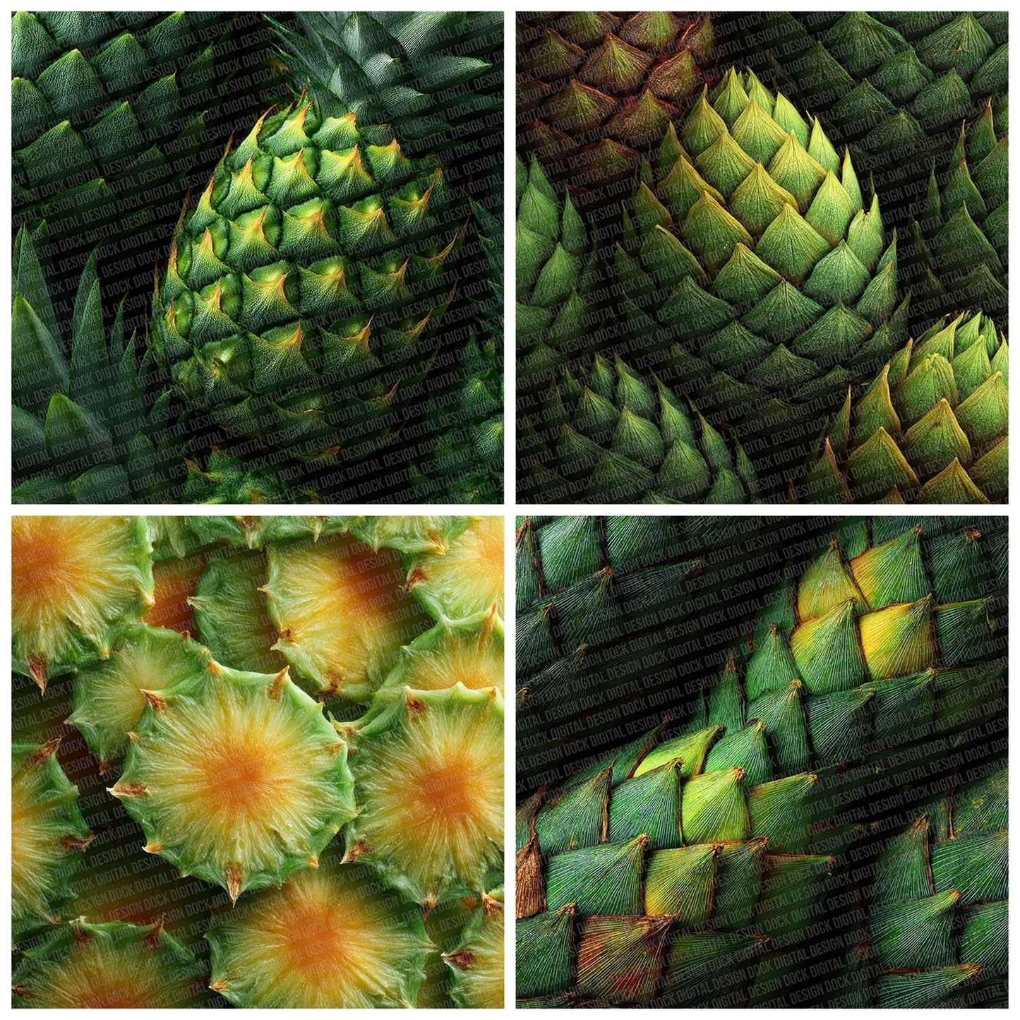 Pineapple Overhead Fill Digital Paper Pack (DDD002994)