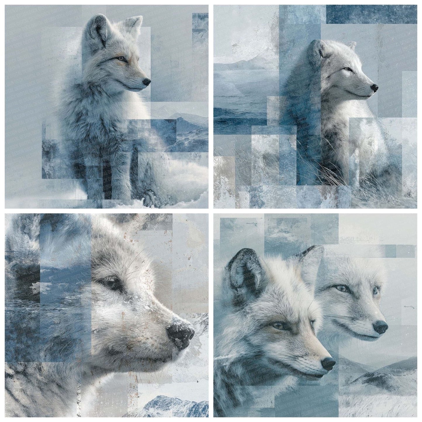 Polar Fox Moodboard Digital Paper Pack (DDD003036)