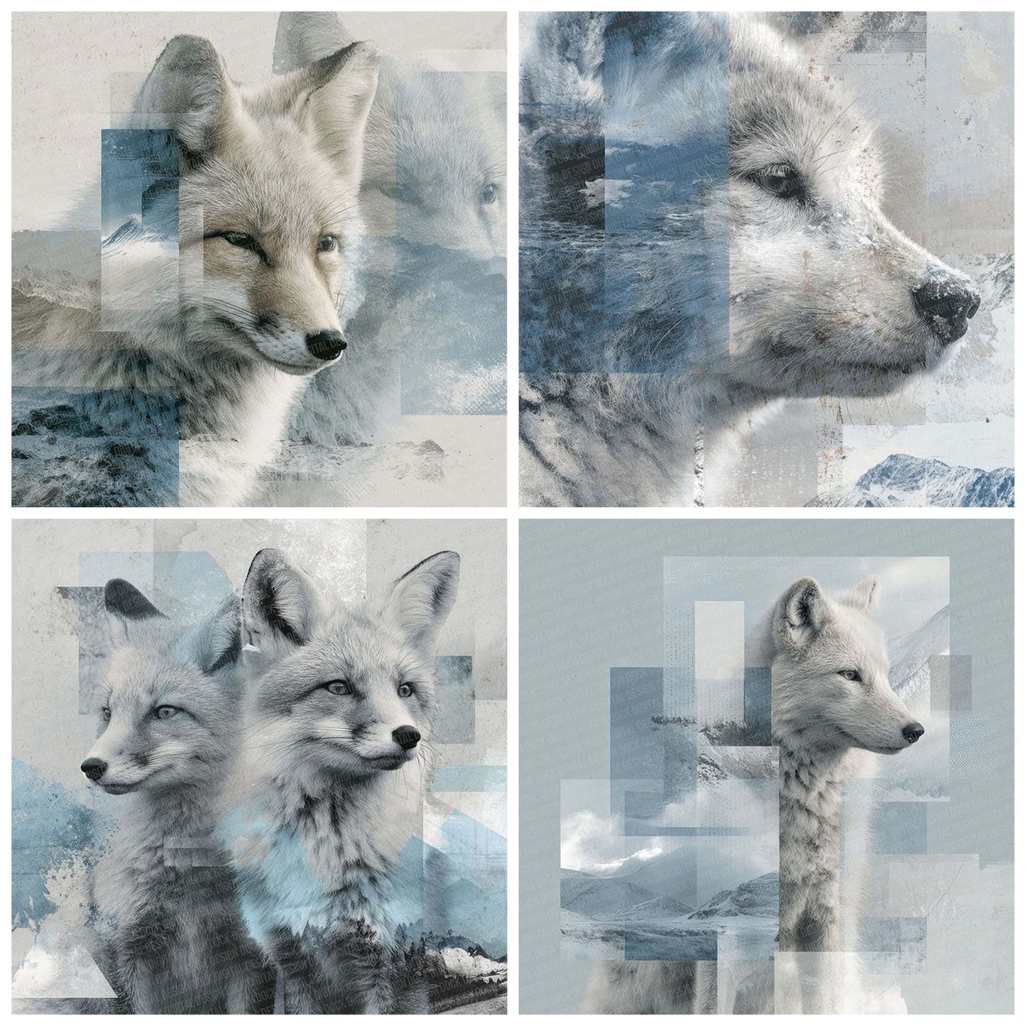 Polar Fox Moodboard Digital Paper Pack (DDD003036)