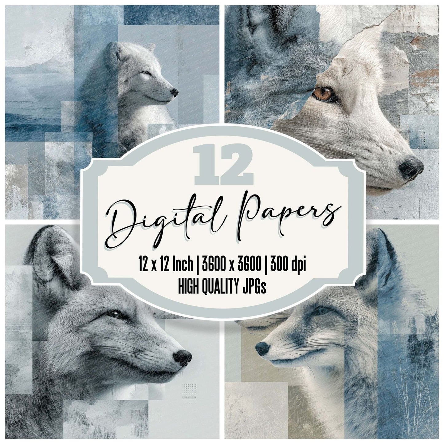 Polar Fox Moodboard Digital Paper Pack (DDD003036)