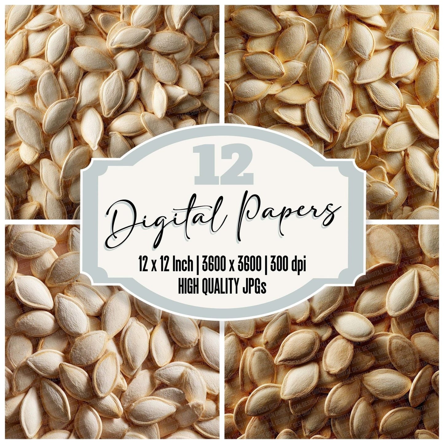 PumpkinSeed Overhead Fill Digital Paper Pack (DDD003100)