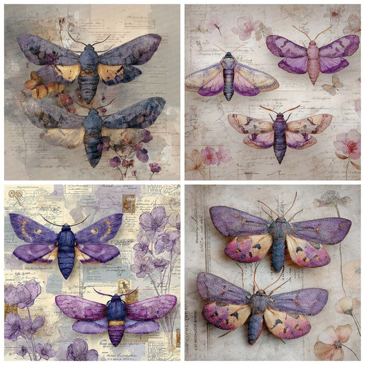 Purple Moth Specimen Digital Paper Pack (DDD007711)