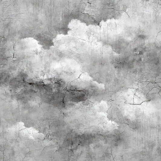 Rain Cloud Weather Notes Digital Paper Pack (DDD003121)