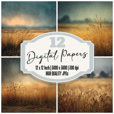 Rain Wheatfield Glow digital paper pack cover showing four of the 12 papers