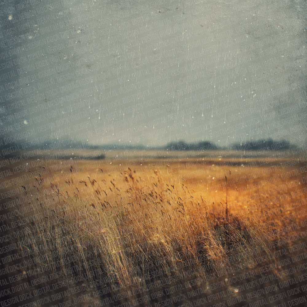 Rain Wheatfield Glow Digital Paper Pack (DDD003127)