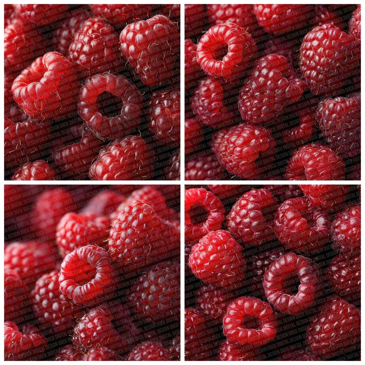 Raspberry Overhead Fill Digital Paper Pack (DDD003165)