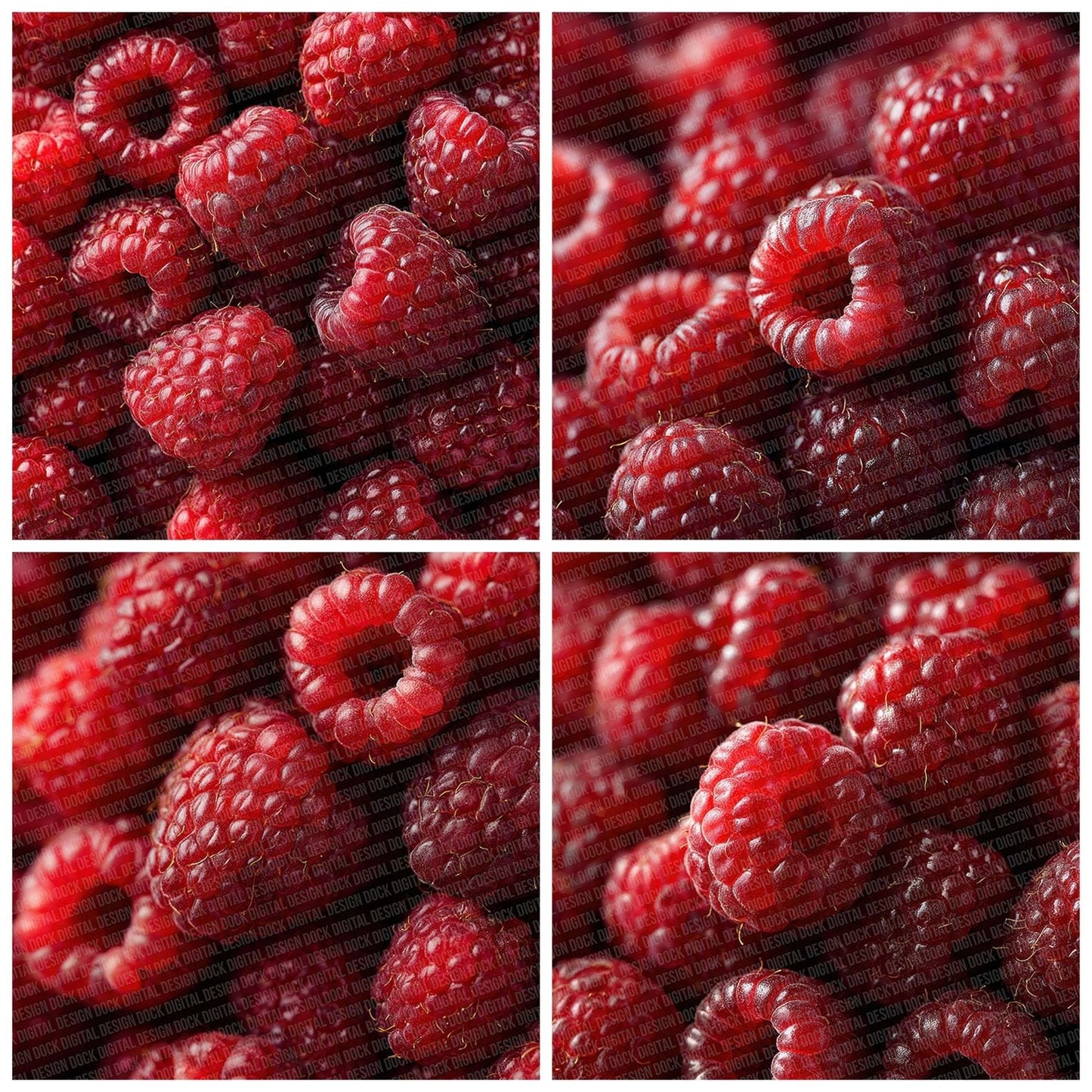 Raspberry Overhead Fill Digital Paper Pack (DDD003165)